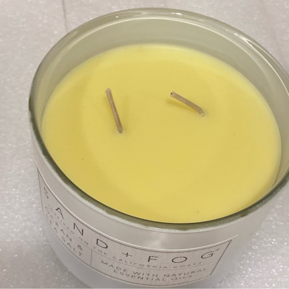 Sand + Fog Ocean & Sea Salt 12 oz 2 Wick Scented Candle - Picture 7 of 8